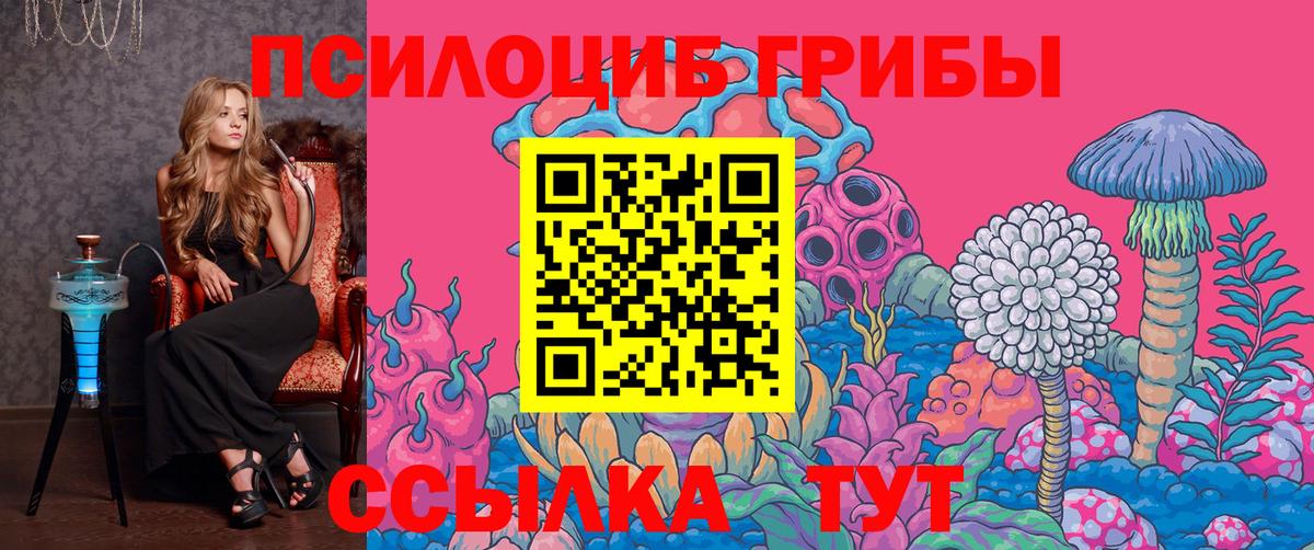 Псилоцибиновые грибы Cubensis Казань