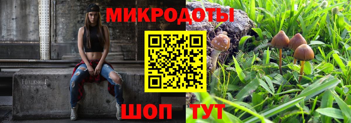 где купить наркотик  Галлюциногенные грибы мухоморы  Галлюциногенные грибы GOLDEN TEACHER  Вход с VPN  Казань 